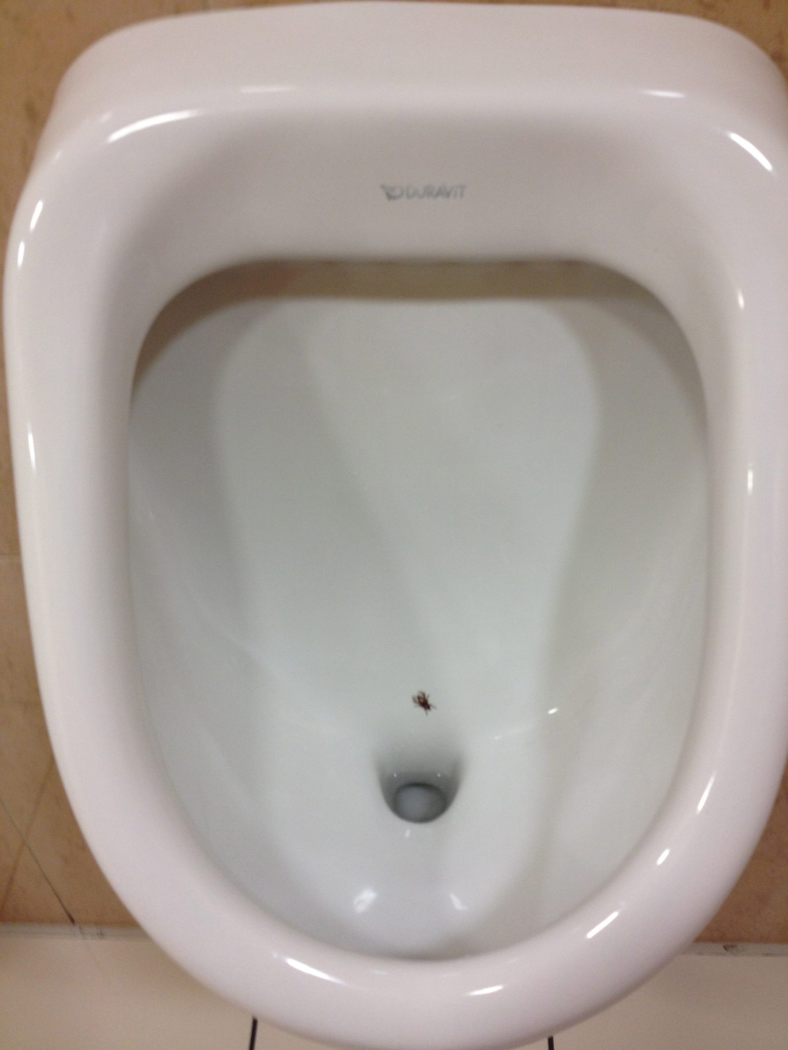 Urinal Flies | Ron Culberson | Do it Well. Make it Fun. | Funny ...